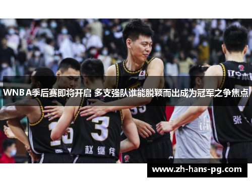 WNBA季后赛即将开启 多支强队谁能脱颖而出成为冠军之争焦点