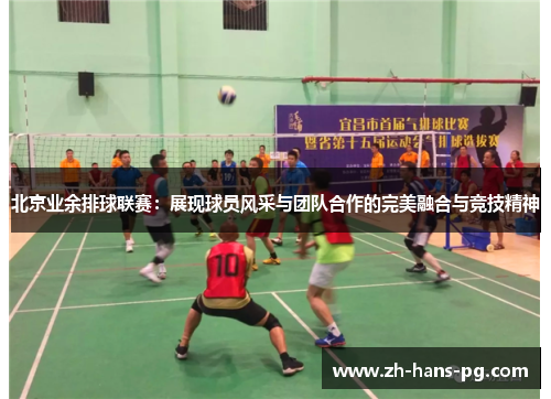 北京业余排球联赛：展现球员风采与团队合作的完美融合与竞技精神