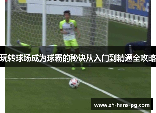 玩转球场成为球霸的秘诀从入门到精通全攻略
