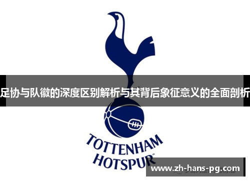 足协与队徽的深度区别解析与其背后象征意义的全面剖析