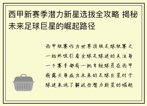 西甲新赛季潜力新星选拔全攻略 揭秘未来足球巨星的崛起路径